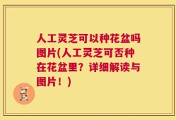 人工灵芝可以种花盆吗图片(人工灵芝可否种在花盆里？详细解读与图片！)