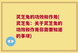 灵芝兔的功效和作用(灵芝兔：关于灵芝兔的功效和作用你需要知道的事项)