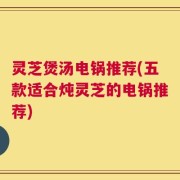 灵芝煲汤电锅推荐(五款适合炖灵芝的电锅推荐)