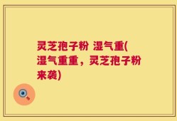 灵芝孢子粉 湿气重(湿气重重，灵芝孢子粉来袭)