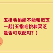 五指毛桃能不能和灵芝一起(五指毛桃和灵芝是否可以配对？)