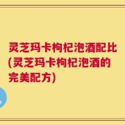 灵芝玛卡枸杞泡酒配比(灵芝玛卡枸杞泡酒的完美配方)