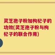 灵芝孢子粉加枸杞子的功效(灵芝孢子粉与枸杞子的联合作用)