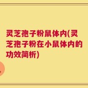 灵芝孢子粉鼠体内(灵芝孢子粉在小鼠体内的功效简析)