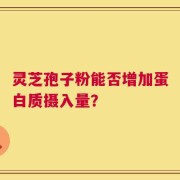 灵芝孢子粉能否增加蛋白质摄入量？