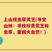 上山找虫草灵芝(寻宝山林：寻找珍贵灵芝和虫草，重回大自然！)