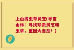 上山找虫草灵芝(寻宝山林：寻找珍贵灵芝和虫草，重回大自然！)
