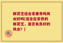 鲜灵芝适合家里养吗风水好吗(适合在家养的鲜灵芝，是否有良好的风水？)