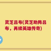灵芝吕布(灵芝助阵吕布，再续英雄传奇)