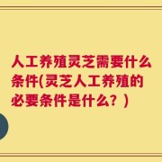 人工养殖灵芝需要什么条件(灵芝人工养殖的必要条件是什么？)