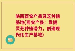 陕西西安户县灵芝种植基地(西安户县：发掘灵芝种植潜力，创建现代化生产基地)