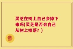 灵芝在树上自己会掉下来吗(灵芝是否会自己从树上掉落？)