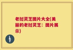老挝灵芝图片大全(美丽的老挝灵芝：图片展示)