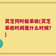 灵芝何时能采收(灵芝采收时间是什么时候？)