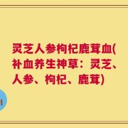 灵芝人参枸杞鹿茸血(补血养生神草：灵芝、人参、枸杞、鹿茸)