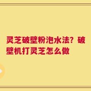 灵芝破壁粉泡水法？破壁机打灵芝怎么做