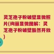 灵芝孢子粉破壁显微照片(绚丽显微图解：灵芝孢子粉破壁豁然开放)