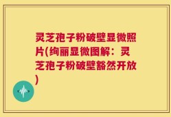 灵芝孢子粉破壁显微照片(绚丽显微图解：灵芝孢子粉破壁豁然开放)