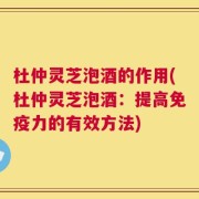 杜仲灵芝泡酒的作用(杜仲灵芝泡酒：提高免疫力的有效方法)