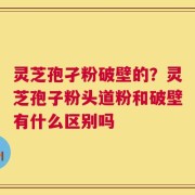 灵芝孢孑粉破壁的？灵芝孢子粉头道粉和破壁有什么区别吗