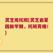 灵芝周托班(灵芝启蒙园新学期，托班亮相！)