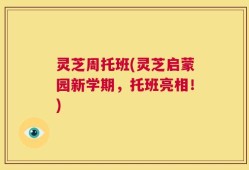 灵芝周托班(灵芝启蒙园新学期，托班亮相！)
