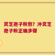 灵芝孢子粉熬？冲灵芝孢子粉正确步骤