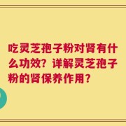 吃灵芝孢子粉对肾有什么功效？详解灵芝孢子粉的肾保养作用？