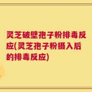灵芝破壁孢子粉排毒反应(灵芝孢子粉摄入后的排毒反应)