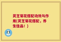 灵芝菊花搭配功效与作用(灵芝菊花搭配，养生佳品！)