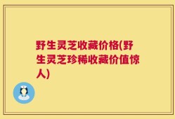 野生灵芝收藏价格(野生灵芝珍稀收藏价值惊人)