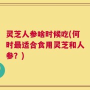 灵芝人参啥时候吃(何时最适合食用灵芝和人参？)