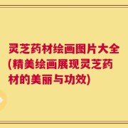灵芝药材绘画图片大全(精美绘画展现灵芝药材的美丽与功效)