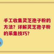 手工收集灵芝孢子粉的方法？详解灵芝孢子粉的采集技巧？