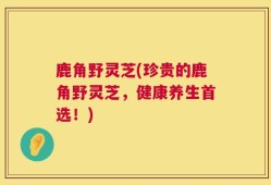 鹿角野灵芝(珍贵的鹿角野灵芝，健康养生首选！)
