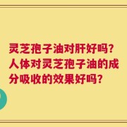 灵芝孢子油对肝好吗？人体对灵芝孢子油的成分吸收的效果好吗？