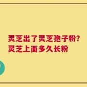灵芝出了灵芝孢子粉？灵芝上面多久长粉