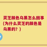 灵芝颜色乌黑怎么回事(为什么灵芝的颜色是乌黑的？)
