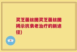 灵芝菌丝图灵芝菌丝图揭示抗衰老治疗的新途径)