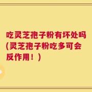 吃灵芝孢子粉有坏处吗(灵芝孢子粉吃多可会反作用！)