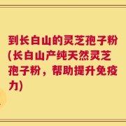 到长白山的灵芝孢子粉(长白山产纯天然灵芝孢子粉，帮助提升免疫力)