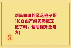 到长白山的灵芝孢子粉(长白山产纯天然灵芝孢子粉，帮助提升免疫力)