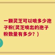 一颗灵芝可以喷多少孢子粉(灵芝喷出的孢子粉数量有多少？)