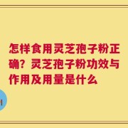 怎样食用灵芝孢子粉正确？灵芝孢子粉功效与作用及用量是什么