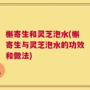 槲寄生和灵芝泡水(槲寄生与灵芝泡水的功效和做法)