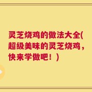 灵芝烧鸡的做法大全(超级美味的灵芝烧鸡，快来学做吧！)