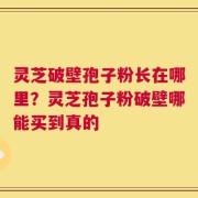 灵芝破壁孢子粉长在哪里？灵芝孢子粉破壁哪能买到真的