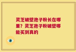 灵芝破壁孢子粉长在哪里？灵芝孢子粉破壁哪能买到真的