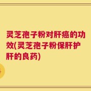 灵芝孢子粉对肝癌的功效(灵芝孢子粉保肝护肝的良药)