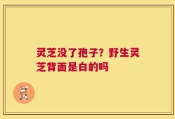 灵芝没了孢子？野生灵芝背面是白的吗